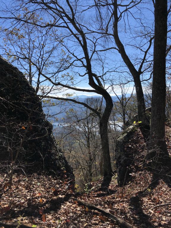 Almost all of this hike was atop a ridgeline that climbed over Watauga Lake in Tennessee. That allowed for some nice views.